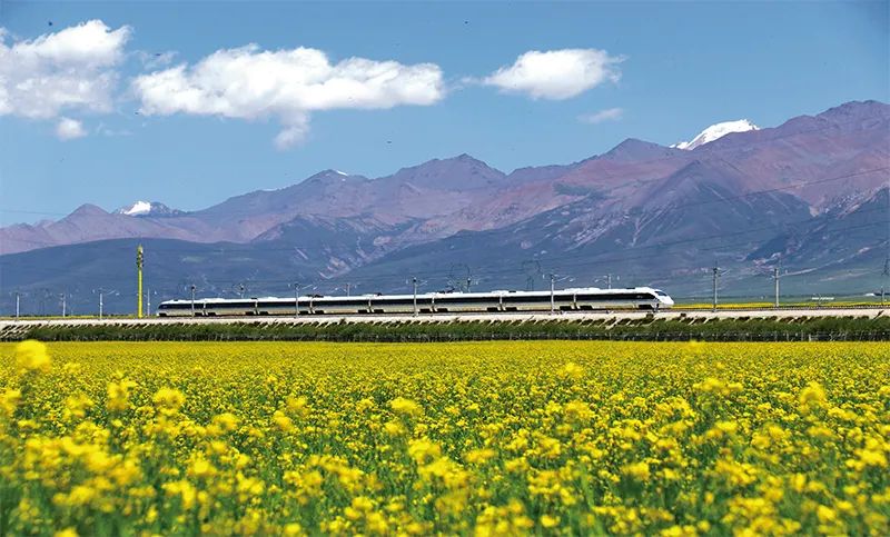 張玉卓、國資、央企、國資委、書記、主任、國企、企業改革